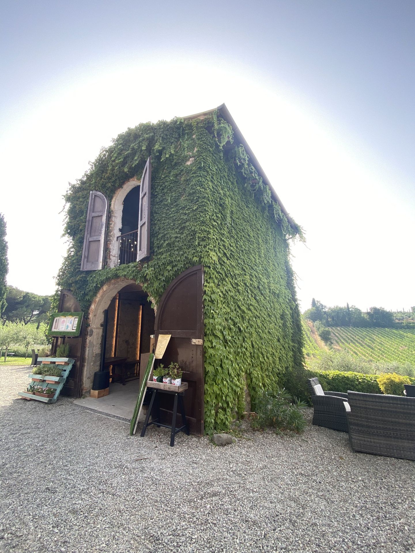 A vine-covered agriturismo in the Tuscan countryside